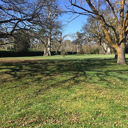 Collingrove Homestead Angaston Dış mekan fotoğraf