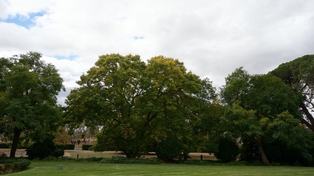 Collingrove Homestead Angaston Dış mekan fotoğraf