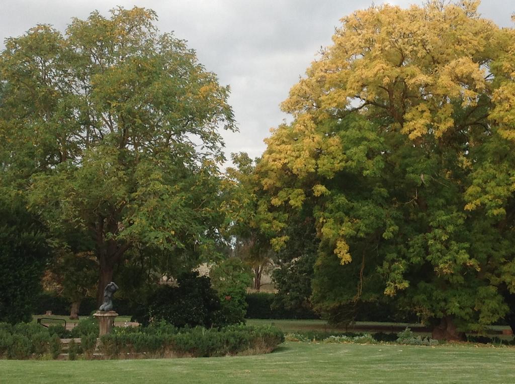 Collingrove Homestead Angaston Dış mekan fotoğraf