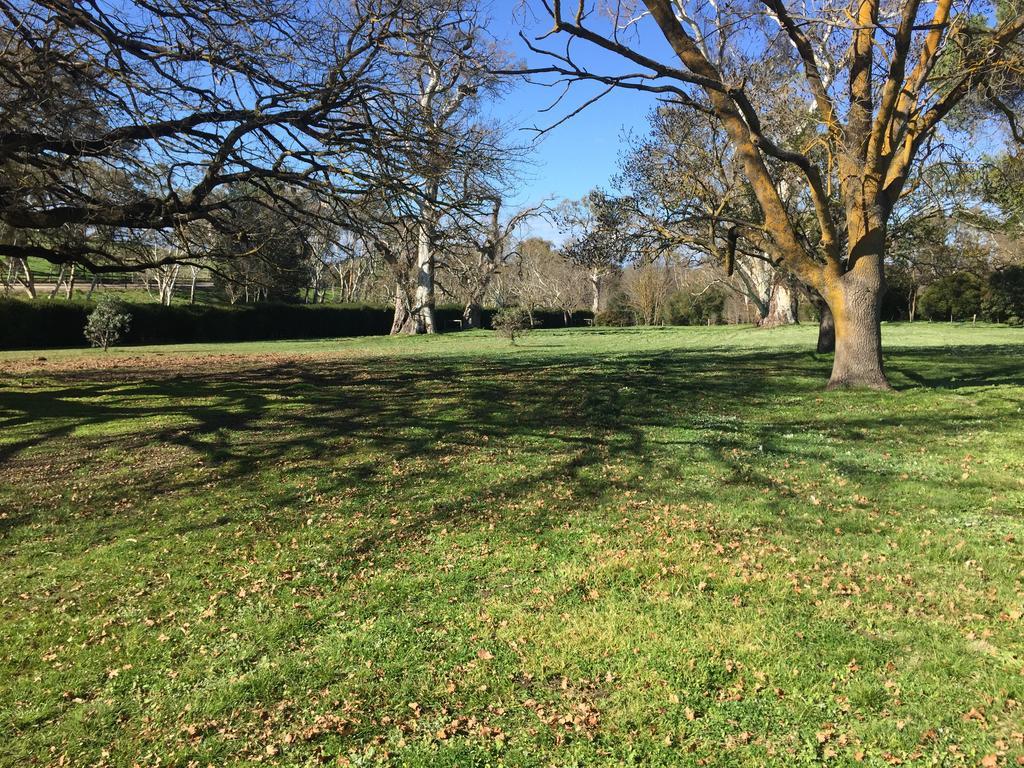 Collingrove Homestead Angaston Dış mekan fotoğraf