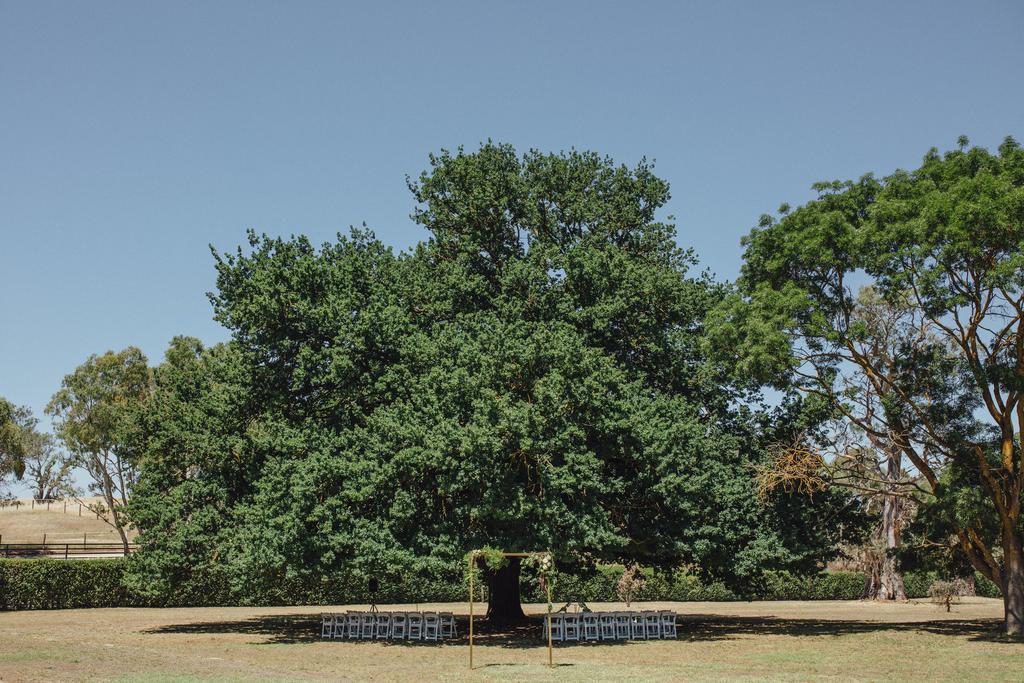 Collingrove Homestead Angaston Dış mekan fotoğraf
