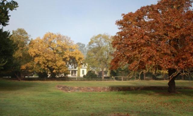 Collingrove Homestead Angaston Dış mekan fotoğraf